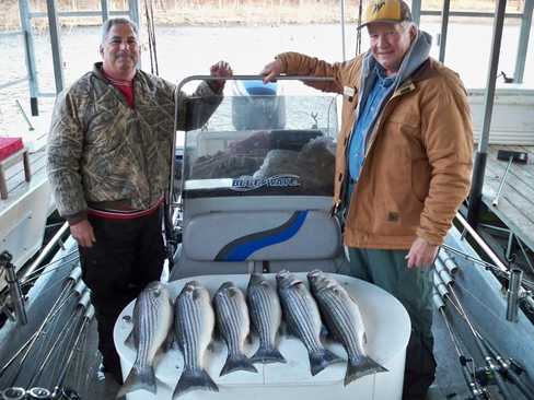 Nice Striped Bass