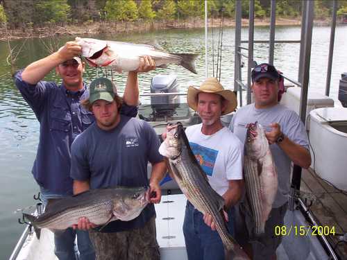 Nice Striped Bass