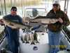 (10/31/2007) - Nice Striped Bass