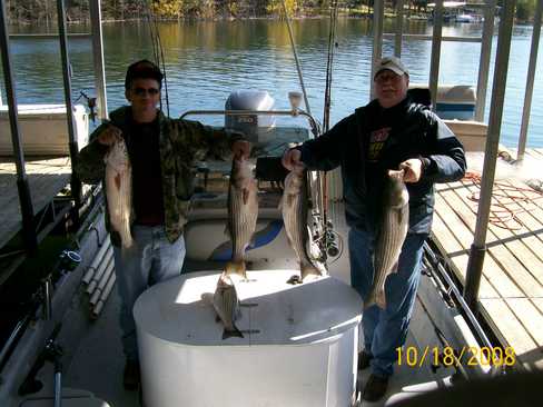 Nice Striped Bass