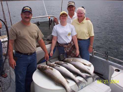 Nice Striped Bass