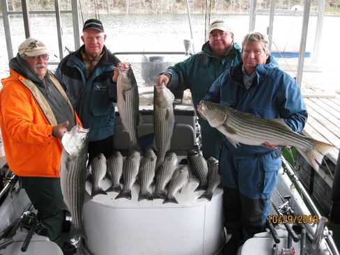 Nice Striped Bass