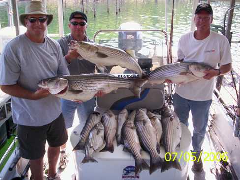 Nice Striped Bass