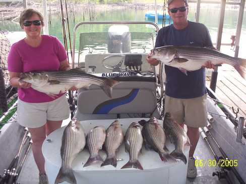 Nice Striped Bass
