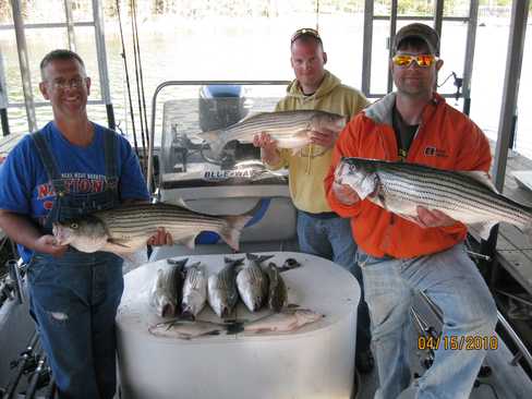 Nice Striped Bass