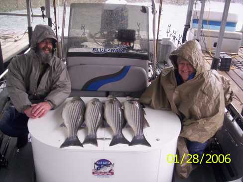 Nice Striped Bass