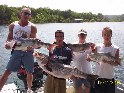 Excellent Striper Fishing