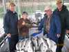 (09/19/2009) - Nice Striped Bass