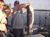 (07/02/2005) - Nice Striped Bass