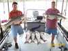 (08/24/2008) - Nice Striped Bass
