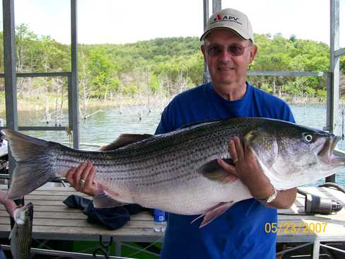 Nice Striped Bass