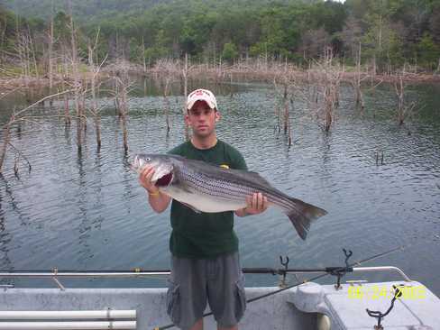 Nice Striped Bass