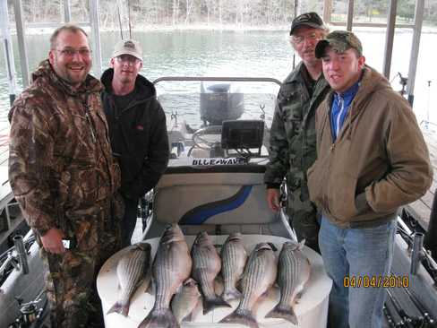 Nice Striped Bass