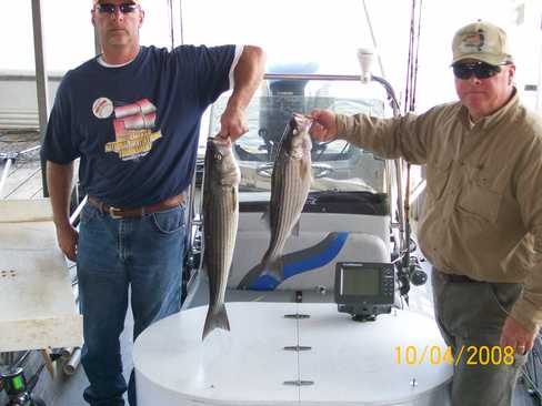 Nice Striped Bass