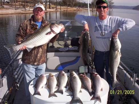 Nice Striped Bass