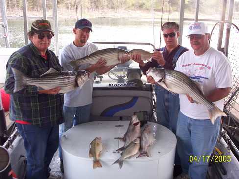 Nice Striped Bass