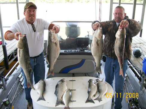 Nice Striped Bass