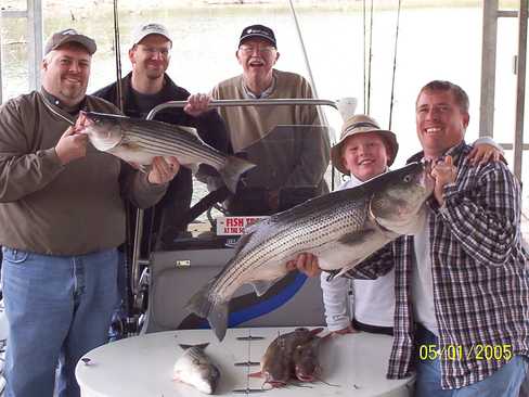 Nice Striped Bass