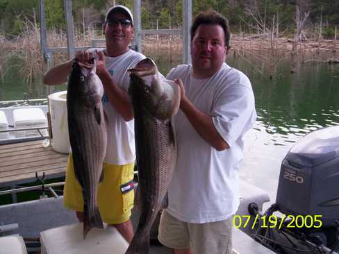 Nice Striped Bass