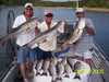 (08/27/2005) - Nice Striped Bass