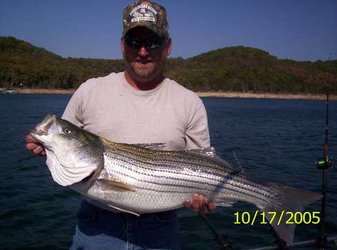 Nice Striped Bass