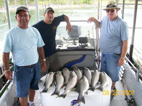 Nice Striped Bass