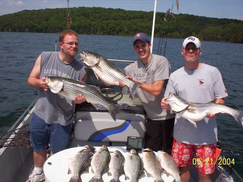 Nice Striped Bass