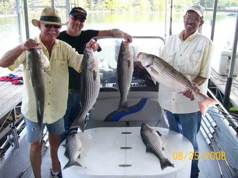 Nice Striped Bass