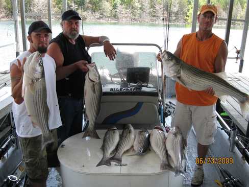 Nice Striped Bass