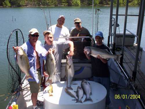 Nice Striped Bass