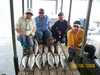 (06/06/2008) - Nice Striped Bass