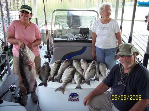 Nice Striped Bass