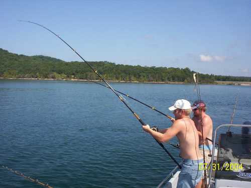 Nice Striped Bass