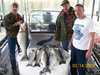 (03/14/2008) - Nice Striped Bass