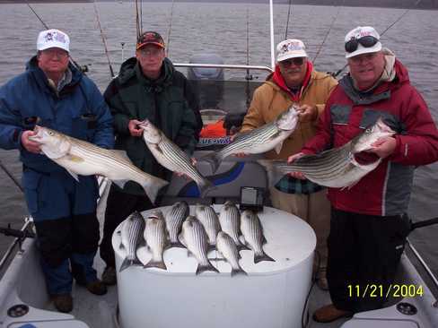 Nice Striped Bass