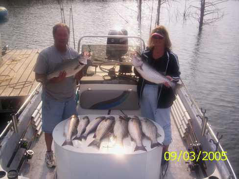 Nice Striped Bass