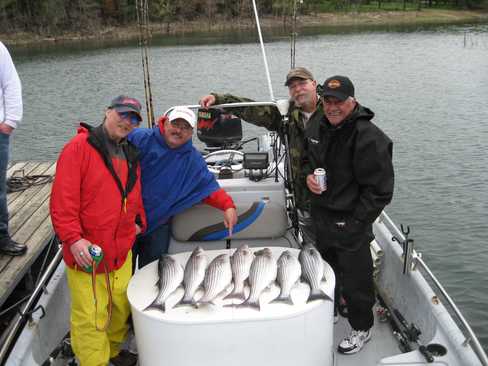 Nice Striped Bass