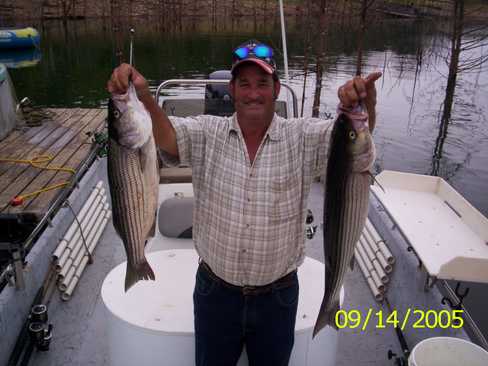 Nice Striped Bass