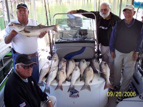 Nice Striped Bass