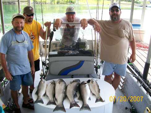 Nice Striped Bass