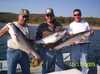 (10/17/2005) - Nice Striped Bass