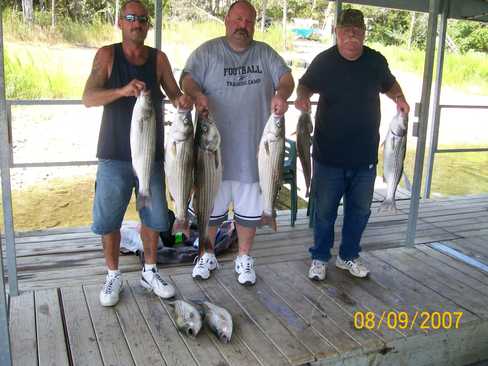 Nice Striped Bass