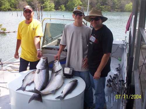 Nice Striped Bass