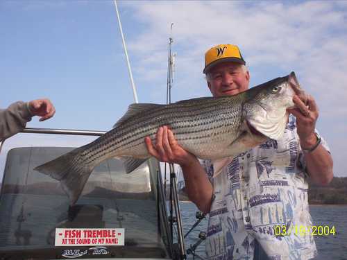 Nice Striped Bass