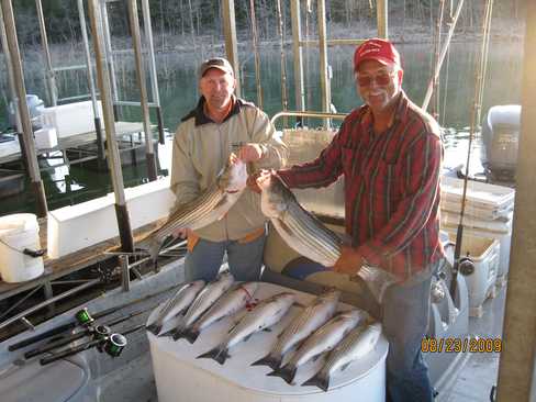 Nice Striped Bass