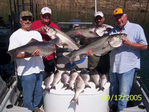 Nice Striped Bass