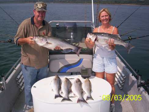 Nice Striped Bass