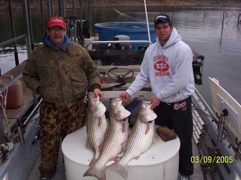 Nice Striped Bass