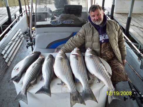 Nice Striped Bass