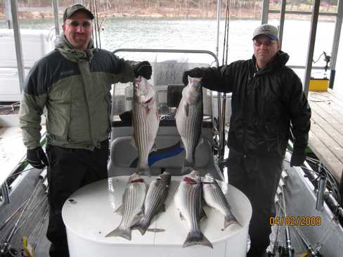 Nice Striped Bass